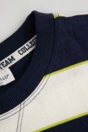 COCCODRILLO t-krekli ACADEMY BOY JUNIOR, krāsa, ZC5143204ABJ-022-140, 140 cm