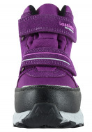 LASSIE ziemas zabāki Valiant Lassietec Boysenberry 769129-4840