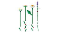 11508 LEGO® BOTANICALS 11508