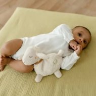 FEHN sildītājs ar vīnogu sēklu pildījumu SHEEP, Nature, 46144