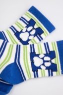 COCCODRILLO zeķes SOCKS BOY, krāsains, cm
