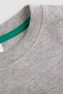 COCCODRILLO t-krekls EVERYDAY BOY A, pelēks, cm