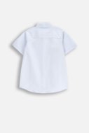 COCCODRILLO krekls ar garām piedurknēm ELEGANT JUNIOR BOY, zils, WC5136202EJB-014-164, 164 cm