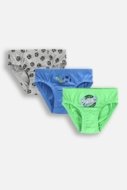 COCCODRILLO biksītes PANTIES, krāsa, WC5409306PAN-022-092, 092