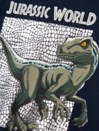 NAME IT JURASSIC WORLD t-krekls, 13244991-282D3C 104 cm