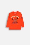 COCCODRILLO t-krekls BETWEEN FRIENDS BOY NEWBORN, sarkani, ZC4143101BBN-009-086, 86 cm