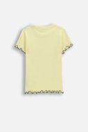 COCCODRILLO t-krekls ar īsam piedurknēm, dzelteni, cm