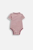 COCCODRILLO bodijs ar īsam piedurknēm, ķiršu krāsa, WC6112203SUN-017-062, 62 izmērs