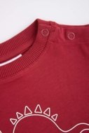 COCCODRILLO džemperis, sarkans, WC6143102HBN-017-080, 80 izmērs