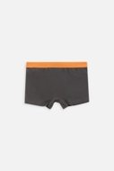 COCCODRILLO biksītes PANTS, krāsains, 2gab., ZC3409502LBL-022-164, 164 cm