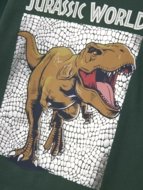 NAME IT JURASSIC WORLD t-krekls, 13244991-3E524B 122/128 cm