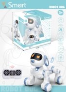 RC robotsuns, 2307F0761