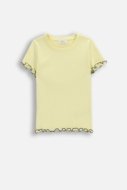 COCCODRILLO t-krekls ar īsam piedurknēm, dzelteni, cm