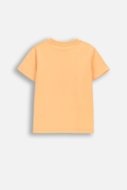 COCCODRILLO t-krekls ar īsam piedurknēm, oranži, WC6143202HBK-005-116, 116 izmērs
