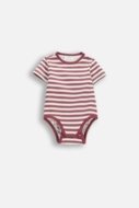 COCCODRILLO bodijs ar īsam piedurknēm, ķiršu krāsa, WC6112203SUN-017-062, 62 izmērs