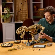 76968 LEGO® Jurassic World™ Dinozauru fosilijas: Tiranozaurs