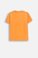 COCCODRILLO t-krekls ar īsam piedurknēm, oranži, WC6143203RBJ-006-134, 134 cm