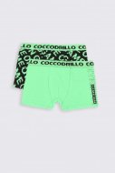 COCCODRILLO biksītes PANTS, multicoloured,  ZC2409505PAN-022