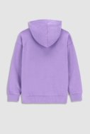 COCCODRILLO džemperis ar kapuci DIGITAL WORLD JUNIOR, violets, WC3132301DWJ-016