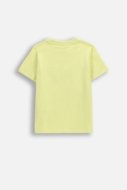 COCCODRILLO t-krekls ar īsam piedurknēm, dzelteni, cm