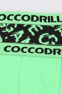 COCCODRILLO biksītes PANTS, multicoloured,  ZC2409505PAN-022