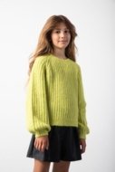 COCCODRILLO džemperis CRAFT PUNK GIRL JUNIOR, zaļš, ZC5172101CGJ-030-134, 134 cm