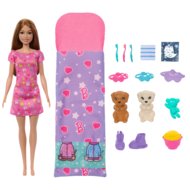 BARBIE lelle kucēnu pidžamu ballīte, HXN01