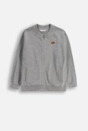 COCCODRILLO sweater CITY RACING BOY JUNIOR, pelēks, ZC5172201CBJ-019-128, 128 cm
