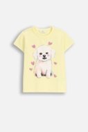 COCCODRILLO t-krekls EVERYDAY GIRL A, dzeltenie, cm