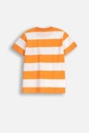 COCCODRILLO krekls ar īsām piedurknēm EVERYDAY BOY C, krāsa, WC5143209VBC-022-152, 152 cm