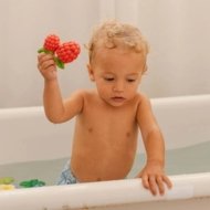 Oli&Carol zobgrauznis Valery the Raspberry, 0+