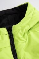 COCCODRILLO veste OUTERWEAR BOY JUNIOR, krāsa, cm