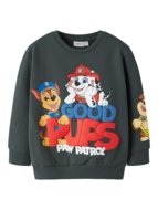 NAME IT PAW PATROL džemperis, 13251997-464E4D 98 cm