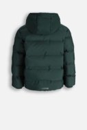 COCCODRILLO jakete OUTERWEAR BOY JUNIOR, zaļš, cm