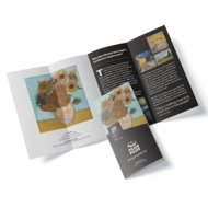 PLUS PLUS konstruktors Van Gogh, 5163