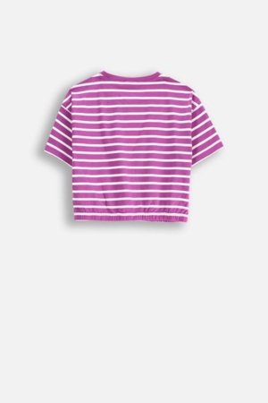 COCCODRILLO krekls ar īsām piedurknēm REBEL GIRL JUNIOR, violeta, WC5143202RGJ-016-164, 164 cm 