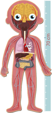 APLI KIDS puzle HUMAN BODY, Apli19438.g 