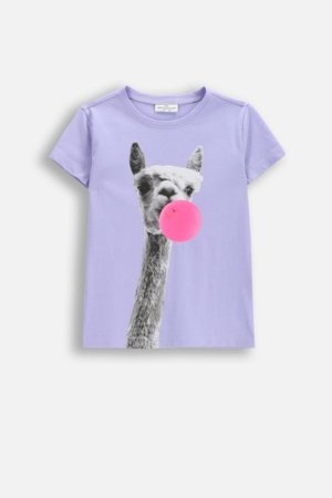 COCCODRILLO t-krekls ar īsam piedurknēm, violeti, WC6143217VGB-016-110, 110 izmērs 