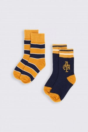 COCCODRILLO zeķes SOCKS BOY, multicoloured, 33/36 izmērs, 2 gab., ZC2382801SOB-022 ZC2382801SOB-022-023