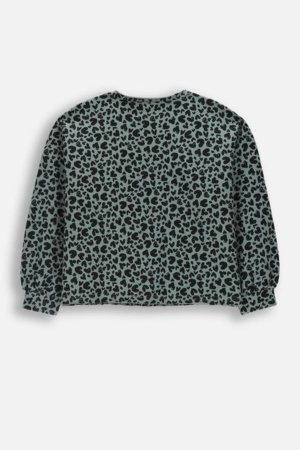 COCCODRILLO džemperis, zaļa, cm 