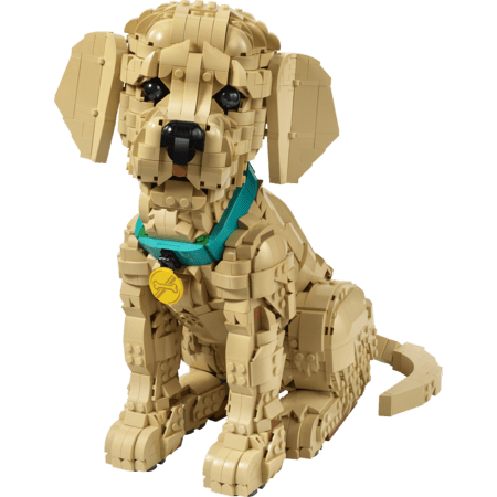 11384 LEGO® Icons Zelta retrīvera kucēns 