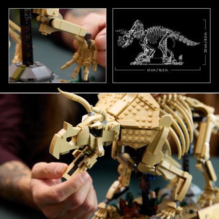 77985 LEGO® Jurassic World Dinozauru fosilijas: triceratops 