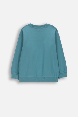 COCCODRILLO t-krekls ar garām piedurknēm, zali, 