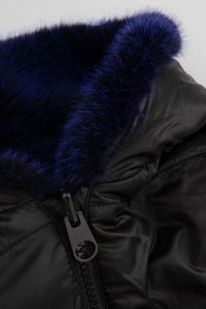 COCCODRILLO jaka OUTERWEAR GIRL JUNIOR, krāsa, ZC5152501OGJ-022-134, 134 cm 