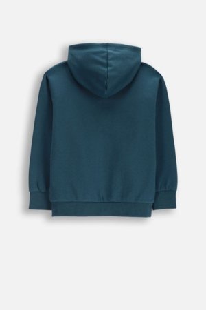 COCCODRILLO džemperis ar rāvējslēdzēju ar kapuci, zaļa, izmērs 