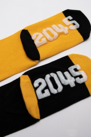 COCCODRILLO zeķes SOCKS BOY, multicoloured, ZC1382403SOB-022 ZC1382403SOB-022-033