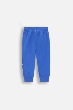 COCCODRILLO džogera bikses BETWEEN FRIENDS BOY NEWBORN, cobalt, ZC4120102BBN-032-086, 86 cm 