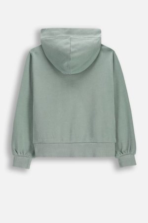 COCCODRILLO džemperis ar rāvējslēdzēju ar kapuci, zaļa, cm 