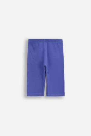 COCCODRILLO legini, violeti, izmērs 