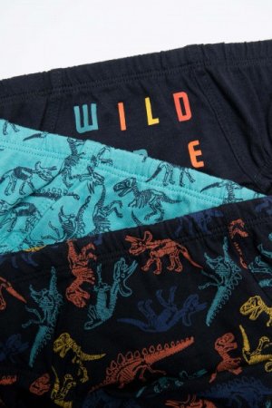 COCCODRILLO biksītes PANTS, multicoloured, 128/134 cm, 3 gab., WC2409303PAN-022 WC2409303PAN-022-116